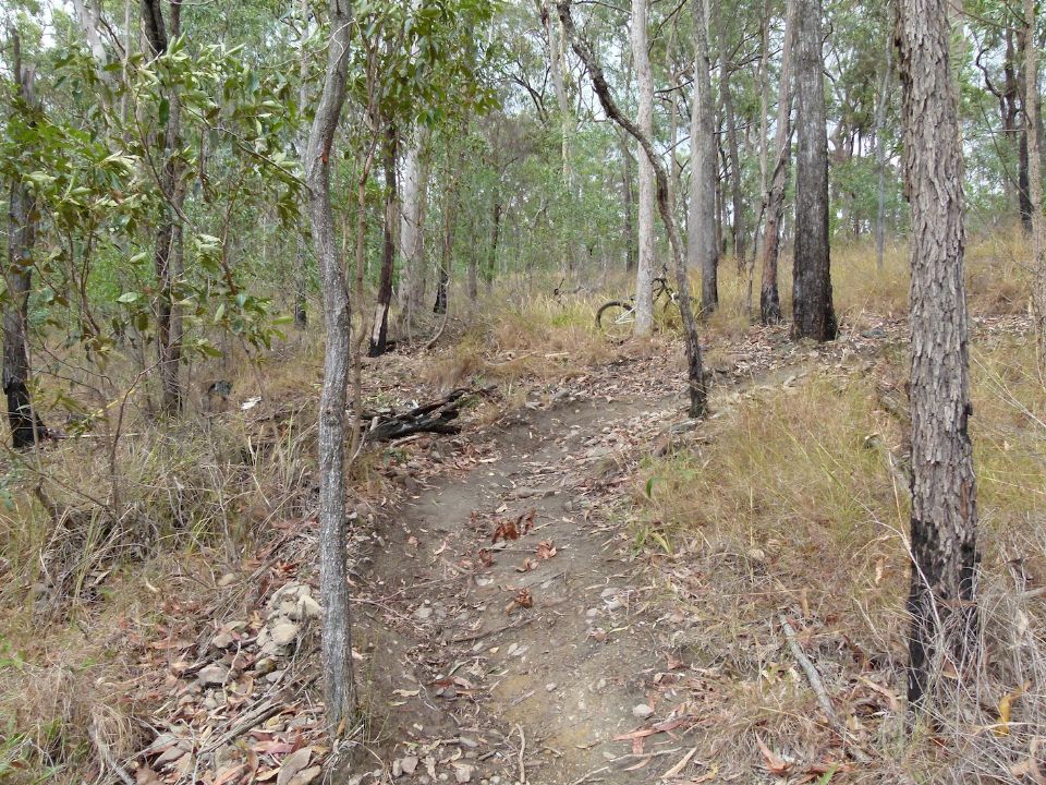 Middle turn way point 70 Mongrel's